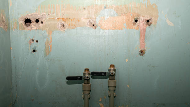 Best Water damage restoration near me  in Unionville, TN