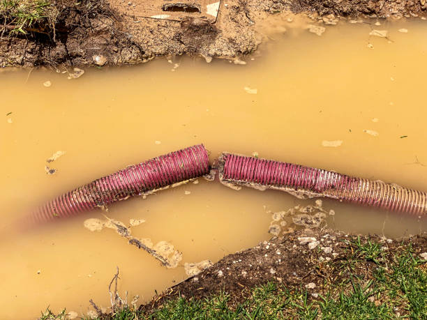 Best Water damage cleanup near me  in Unionville, TN